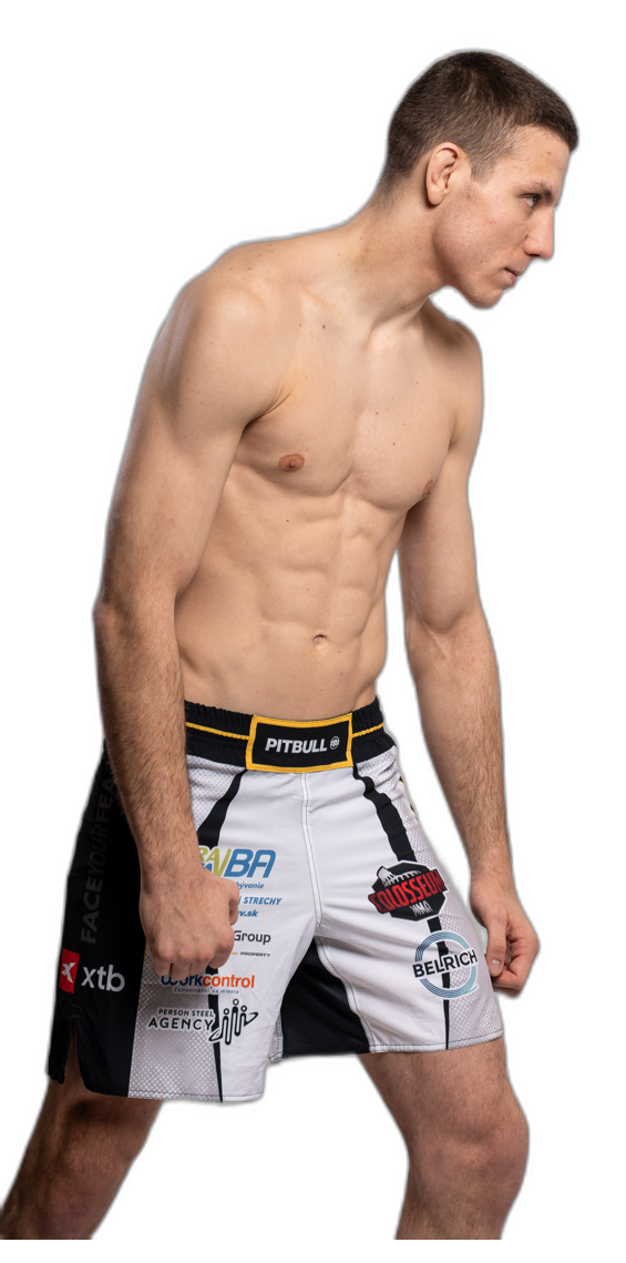 Patrik Šebek